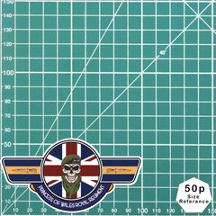 Princess of Wales Royal Regiment PWRR UV Laminated Vinyl Sticker - Wings redplume