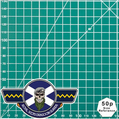 Royal Scots Dragoon Guards RSDG UV Laminated Vinyl Sticker - Saltire Wings redplume