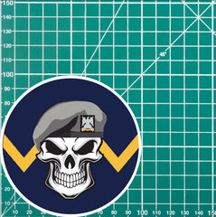 Skull with Royal Scots Dragoon Guards RSDG Beret TRF Vinyl Sticker - 10cm redplume