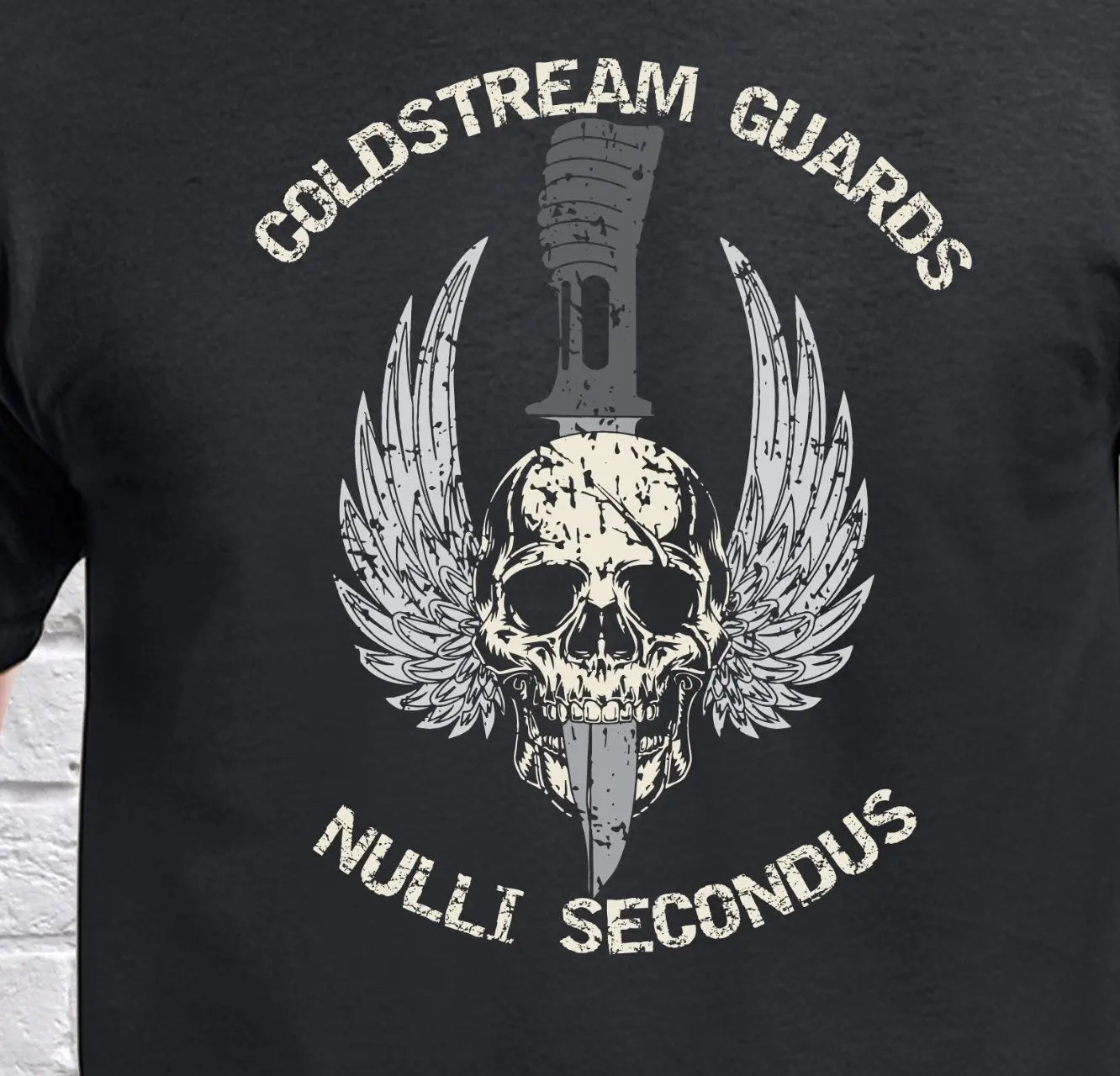Coldstream Guards Skulled Dagger T-Shirt redplume