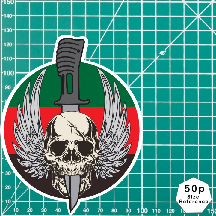 Waterproof Vinyl Royal Tank Regiment RTR Sticker - Winged Skull redplume